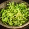 Ylang Ylang - Cananga odorata Lansac Sophie naturopathe Le Cannet