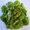 (vitamines, fibres..) Lansac Puisais naturopathe Cannes